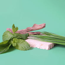 Load image into Gallery viewer, Australian Bamboo Grass Scent