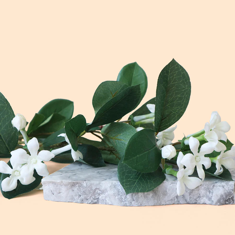 Jasmine Scent