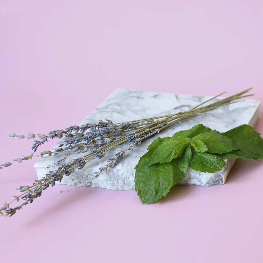 Lavender & Mint Scent