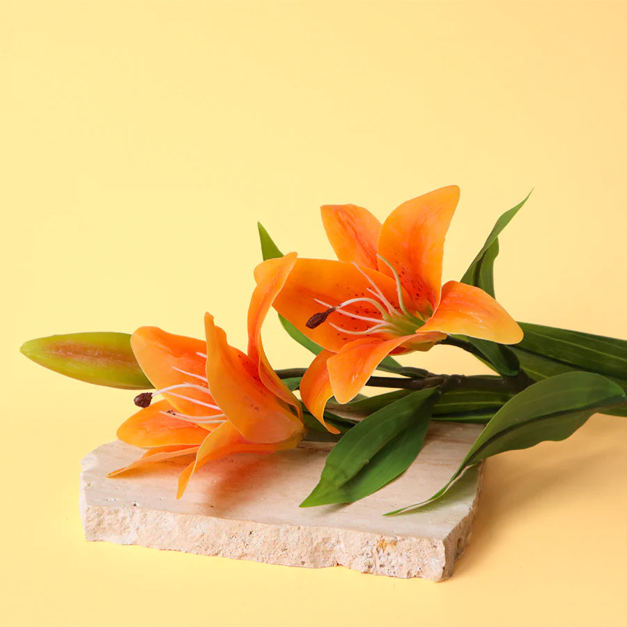 Tigerlily & Patchouli Scent