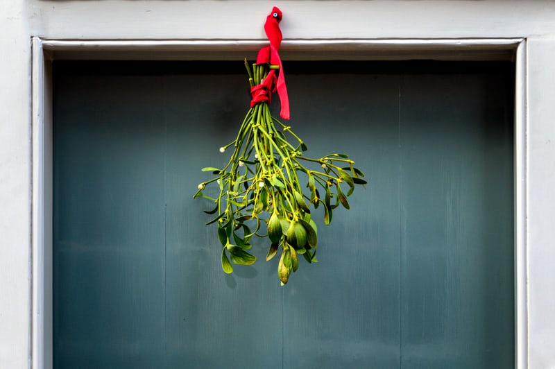 Mistletoe & White Cedar Scent